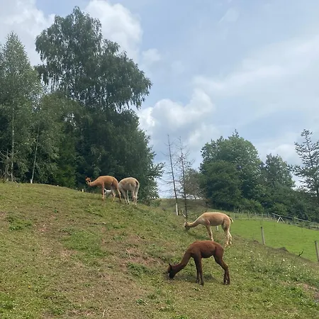 Chalupky Lodge Zázrivá