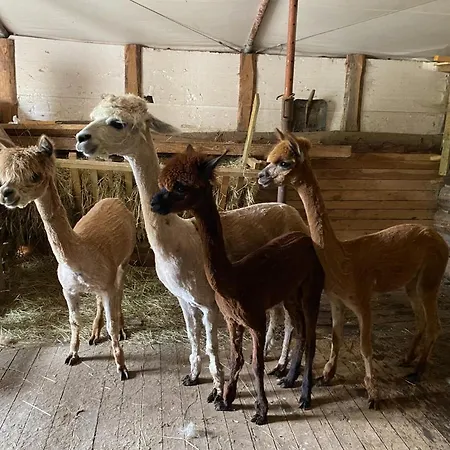 Lodge Chalupky Zázrivá