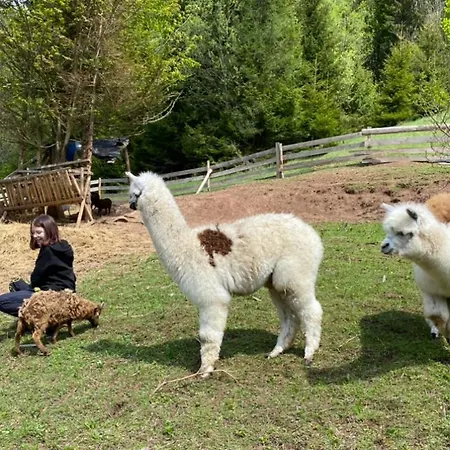 Chalupky Lodge Zázrivá