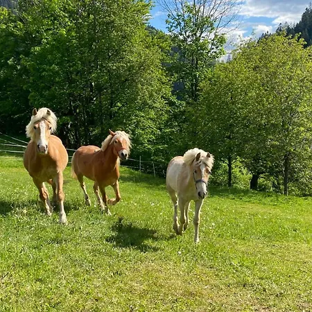 Chalupky * Zázrivá