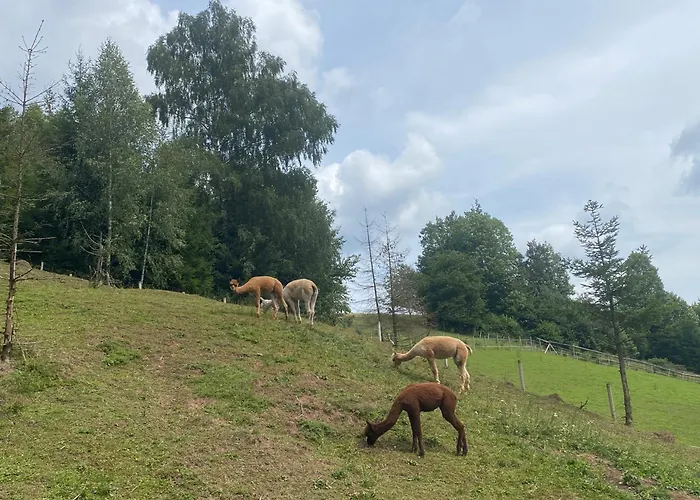 Chalupky Lodge Zazriva