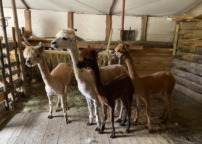 Lodge Chalupky Zazriva