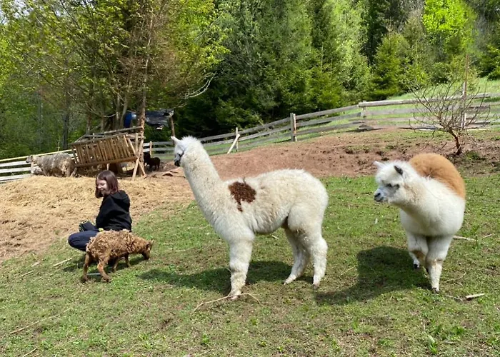 Chalupky Lodge Zazriva